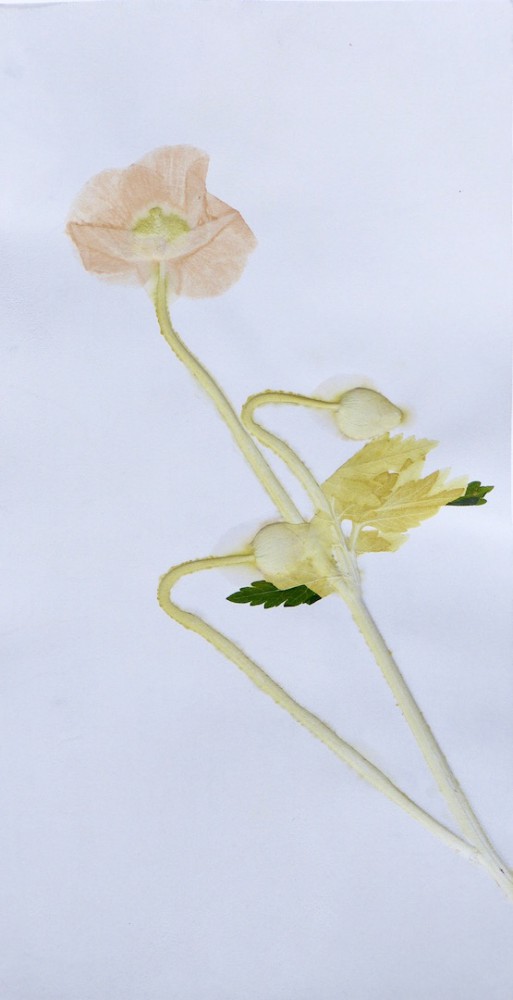 t.e. 198